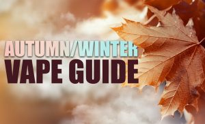 Cold Weather Vaping Guide – Peace-Vape