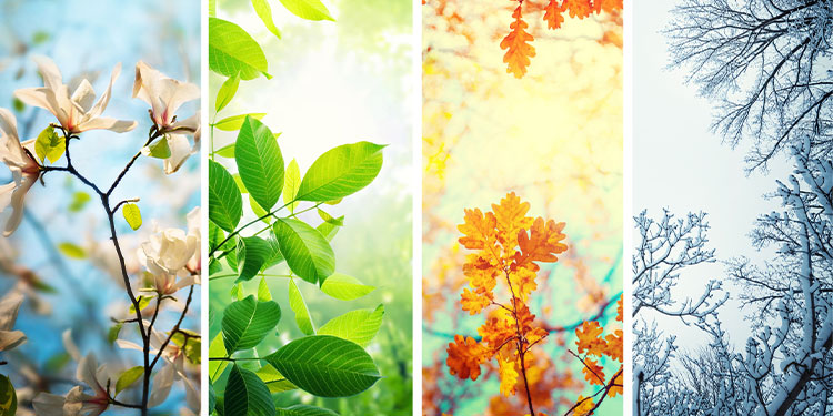 Vape Juice to Suit Your Favourite Season