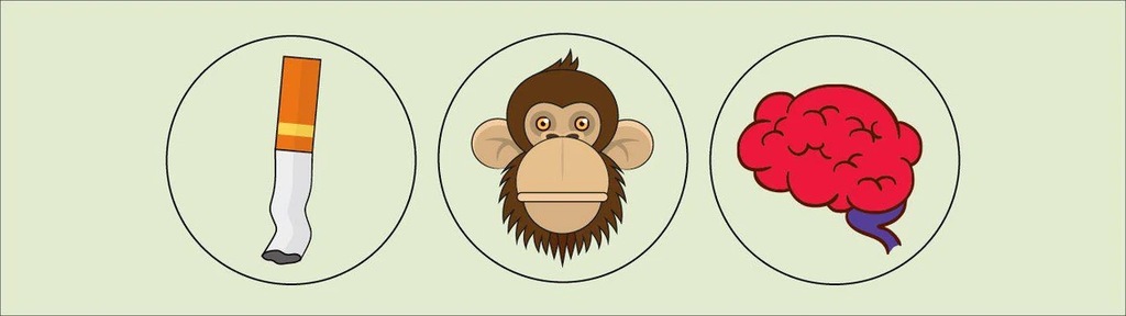 Committing to Quitting: What the Science of Self-Control can teach us about Giving Up Tobacco